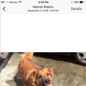 Meet your Posher, Tracey